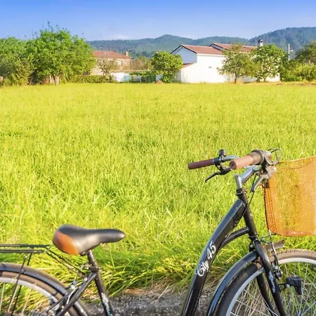 Pumarin * Santa Marina (Ballota)